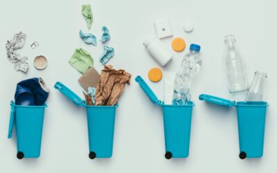 Raccolta differenziata: dove buttare cosa?